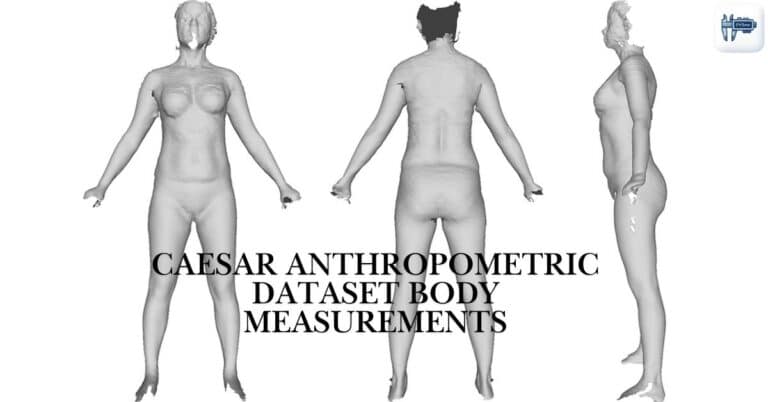 Caesar Anthropometric Dataset Body Measurements