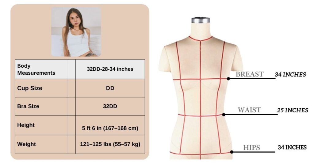 Sophie Rain Measurements