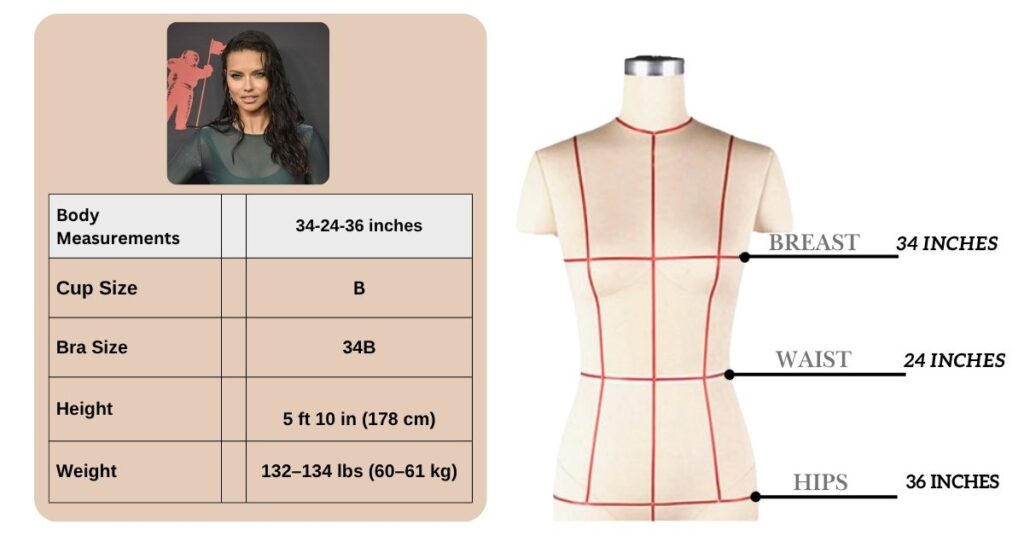 Adriana Lima Body Measurements