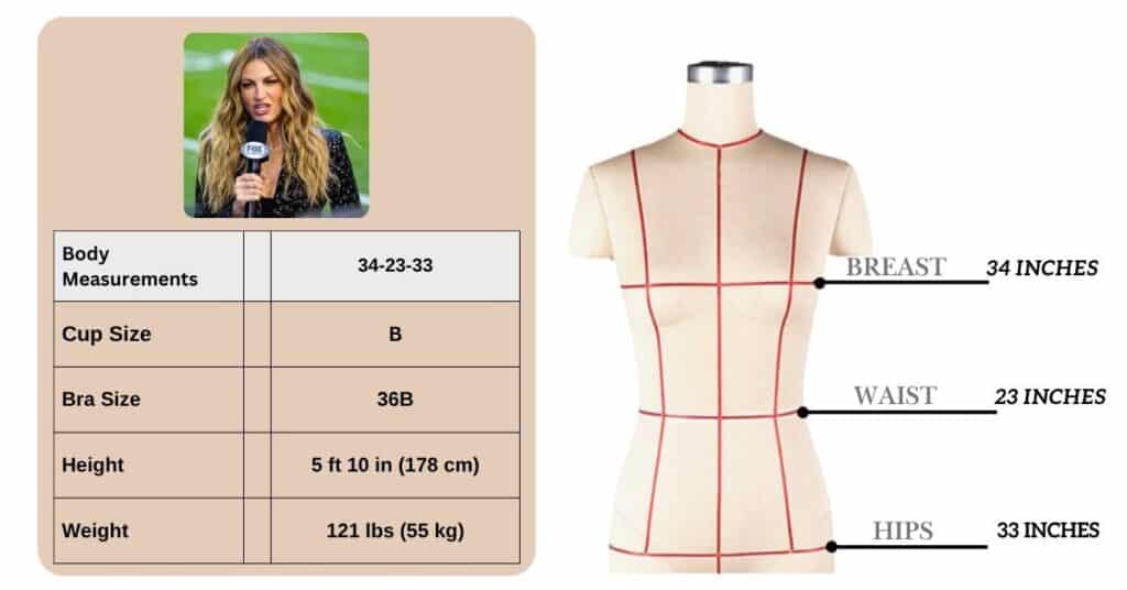 Erin Andrews Body Measurements