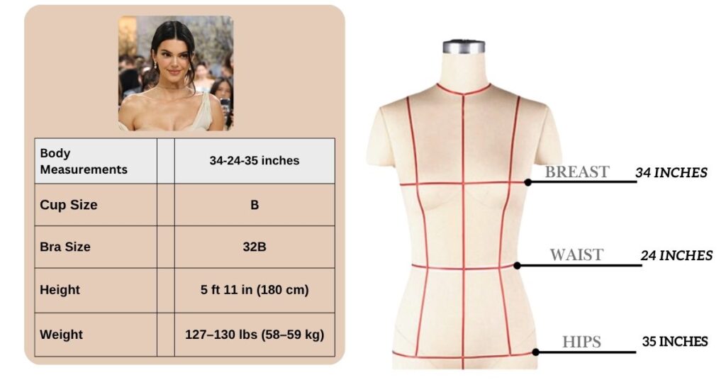 Kendall Jenner Body Measurements