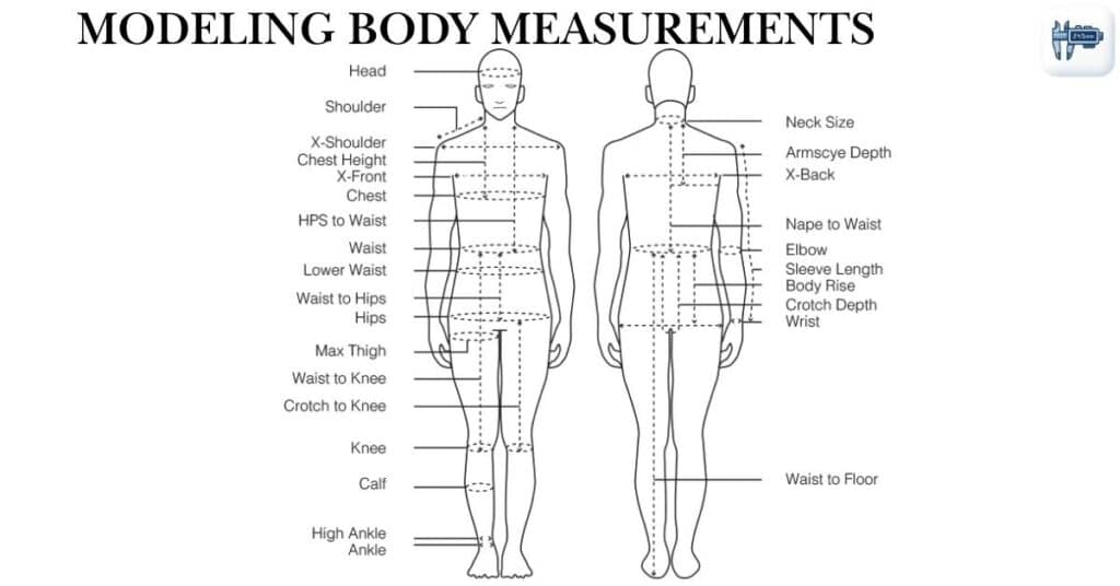 Modeling Body Measurements