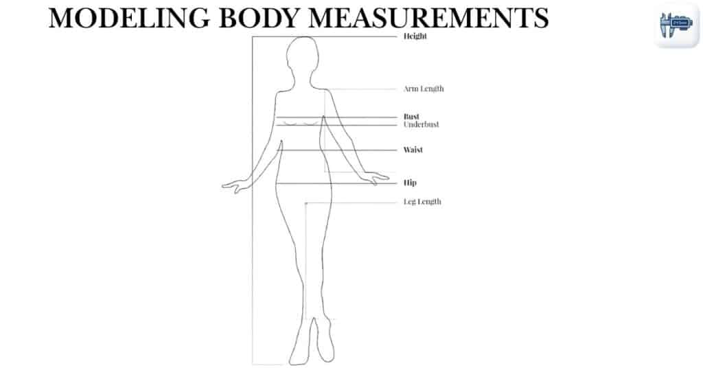 Modeling Body Measurements
