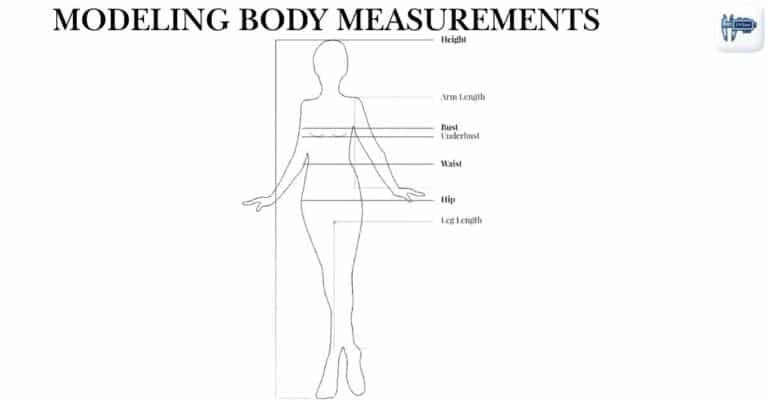 Modeling Body Measurements: Standards, Chart & Requirements