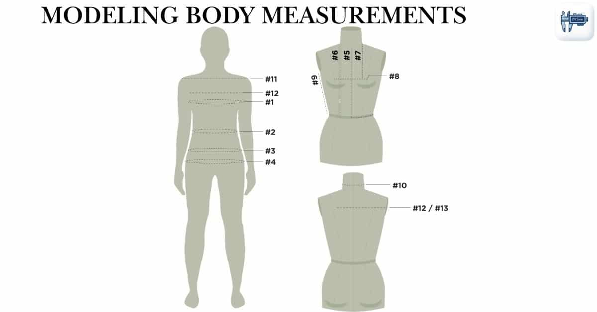 Modeling Body Measurements