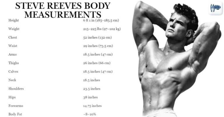 Steve Reeves Body Measurements