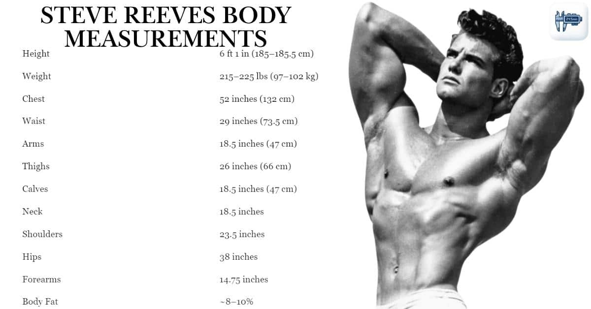 Steve Reeves Body Measurements