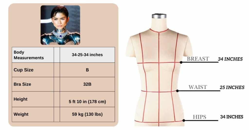 Zendaya Body Measurements